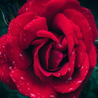 Anne-Marie Strømstad